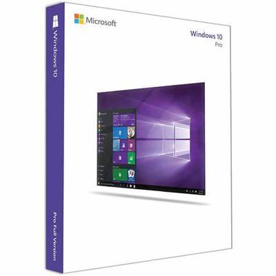 Windows 10專業(yè)版 軟硬件協(xié)同與網絡技術開發(fā)深度解析